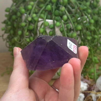 Amethyst Root (J733)