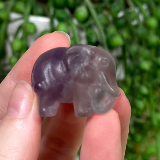 Purple Fluorite Elephant (J373)