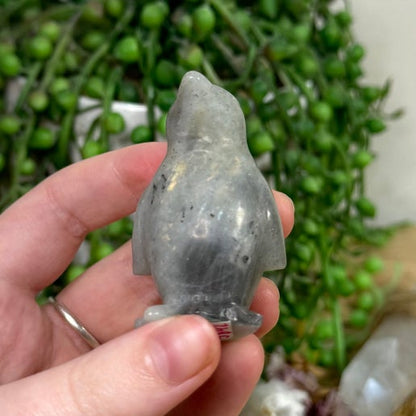 Labradorite Penguin (J892)