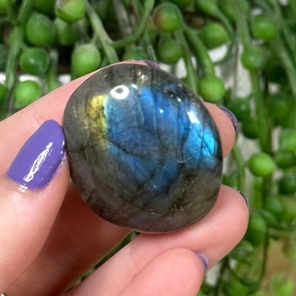 Labradorite Palm Stone (K842)