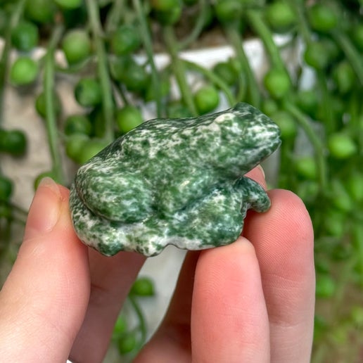 Green Spot Jasper Frog (L877)