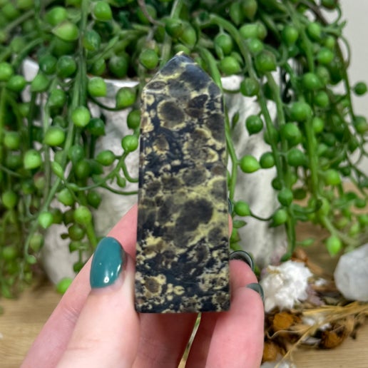 Snake Skin Serpentine Point (D583)