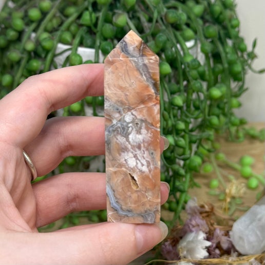 Pink Agate Point (D176)