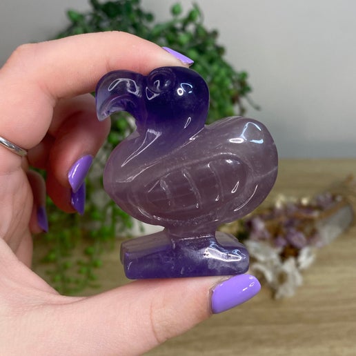 Purple Fluorite Dodo Bird (D747)