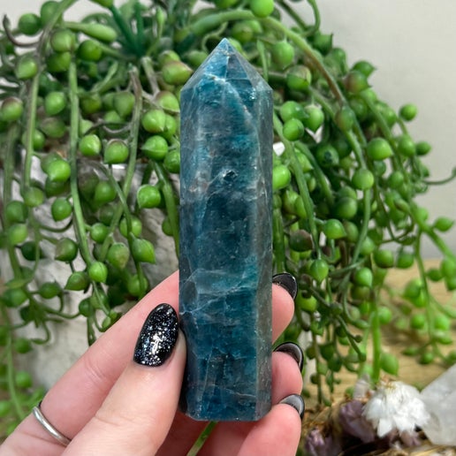 Blue Apatite Point (E990)