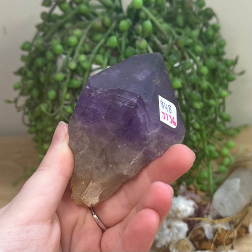 Amethyst Root (J736)