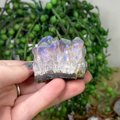 Aura Amethyst Cluster (K960)