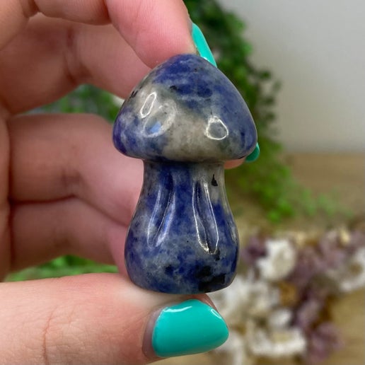 Sodalite Medium Mushroom