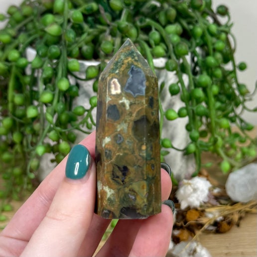 Rainforest Jasper Point (H900)