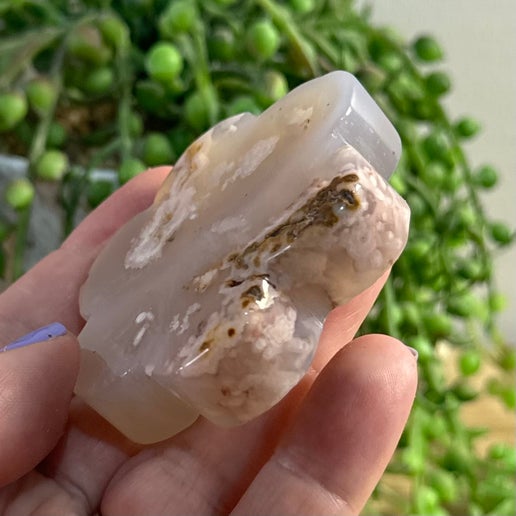 Flower Agate Flower (C967)