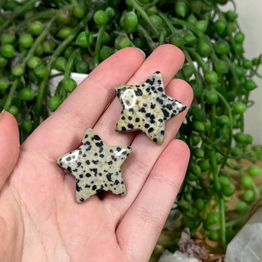 Dalmatian Jasper Small Star