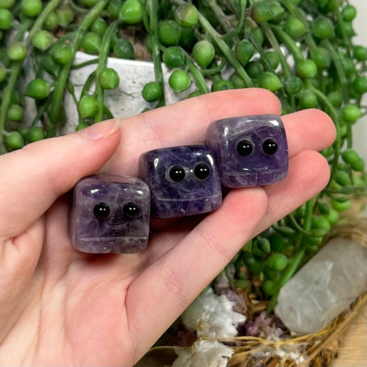 Dream Amethyst Pet Rocks