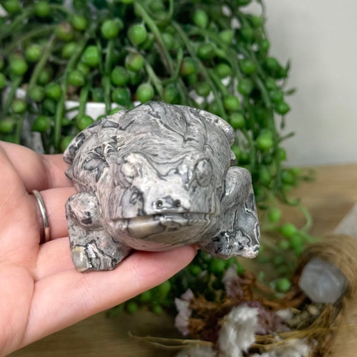 Picasso Jasper Frog (L51)