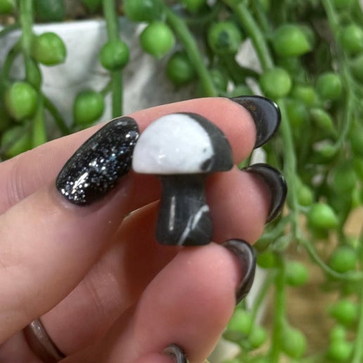 Black Zebra Jasper Mini Mushroom