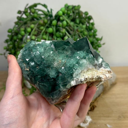 Green Cubic Fluorite Cluster (L380)