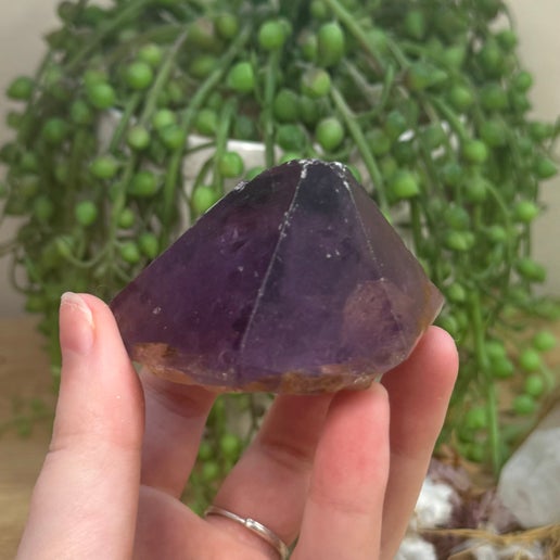 Amethyst Root (J744)