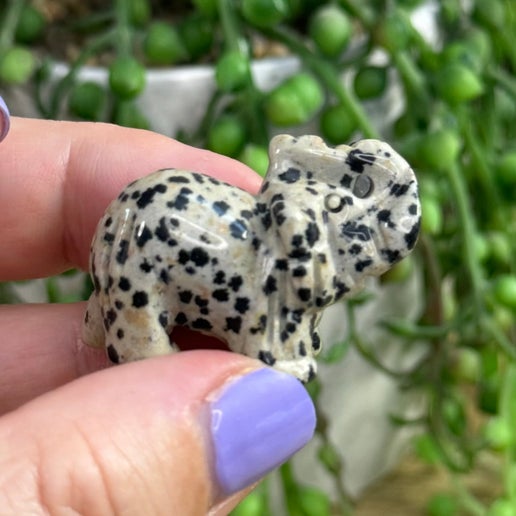 Dalmatian Jasper Elephant (I504)