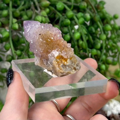 Spirit Quartz Cluster (J699)