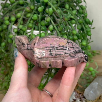 Rhodonite Turtle (H301)