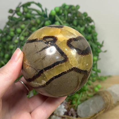 Septarian Sphere (J303)