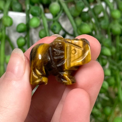 Tiger Eye Small Elephant