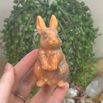 Sunstone Bunny (J795)