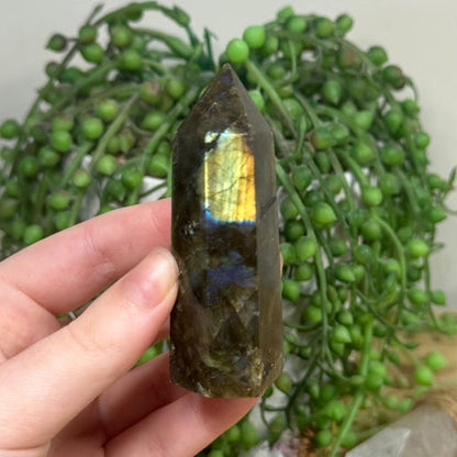 Labradorite Point (A462)