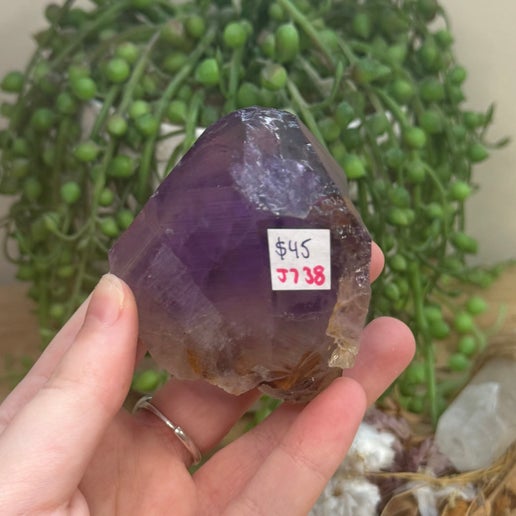 Amethyst Root (J738)