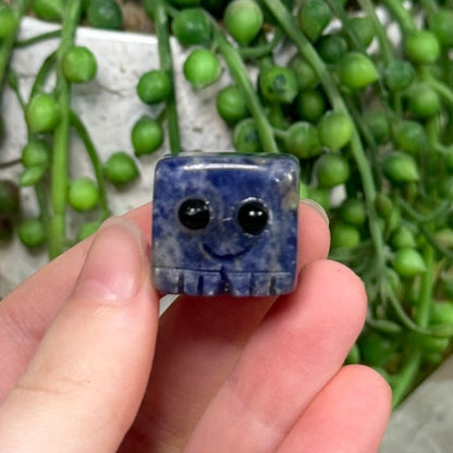 Sodalite Pet Rock