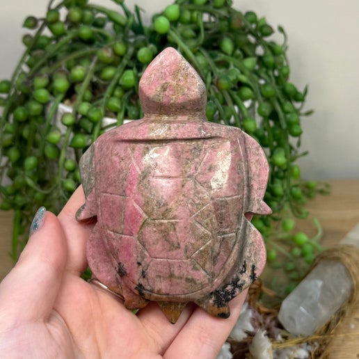 Rhodonite Turtle (I979)