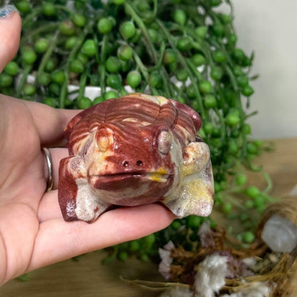 Stripey Agate Frog (L53)