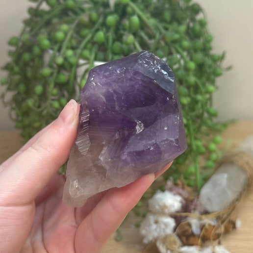 Amethyst Root (J740)