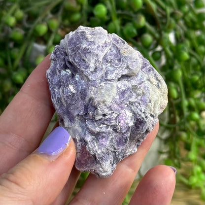 Purple Mica Raw 2