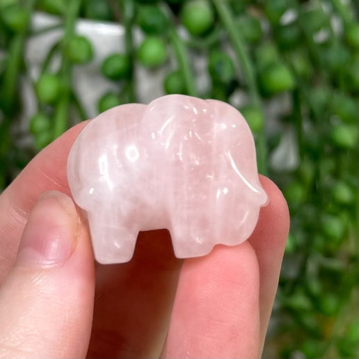 Rose Quartz Elephant (J370)