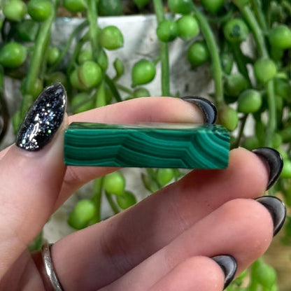 Malachite Slab (I952)
