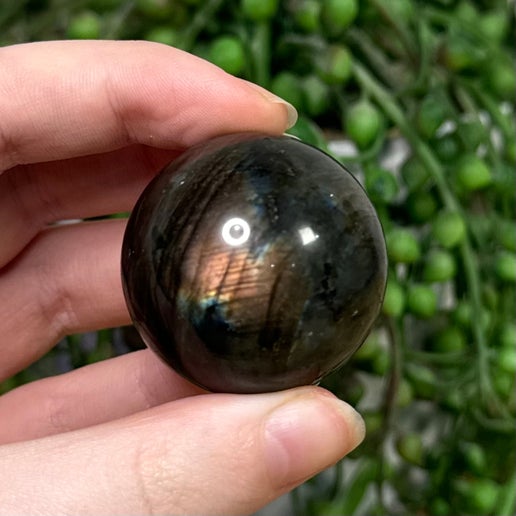 Labradorite Sphere (920A)