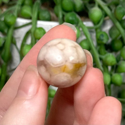 Flower Agate Mini Sphere