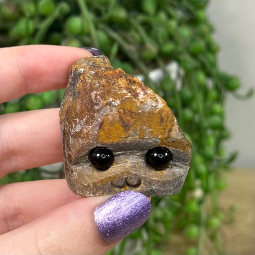 Tiger Eye Pet Rock (I60)