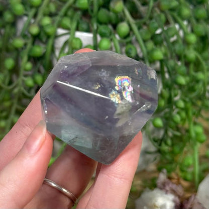 Rainbow Fluorite Free Form (E164)