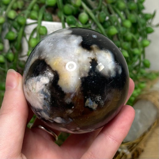 Black Flower Agate Sphere (I458)