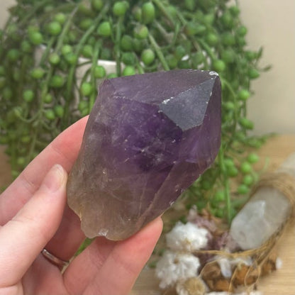 Amethyst Root (J741)