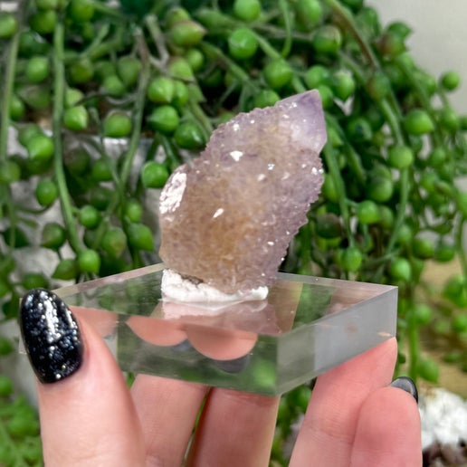 Spirit Quartz Cluster (J697)