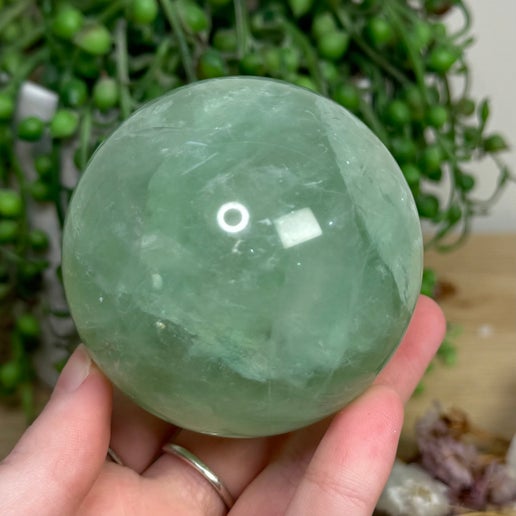 Green Fluorite Sphere (L810)