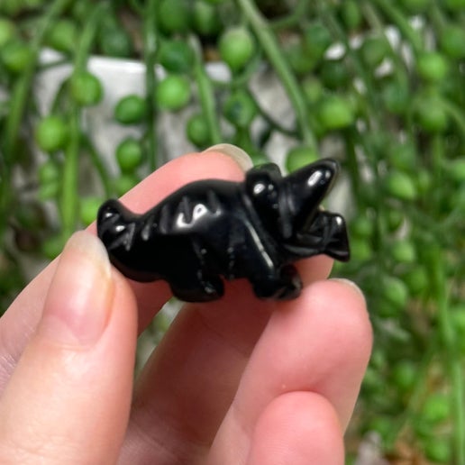 Black Obsidian Small Triceratops