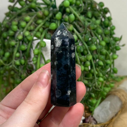 Moss Agate Point (K327)