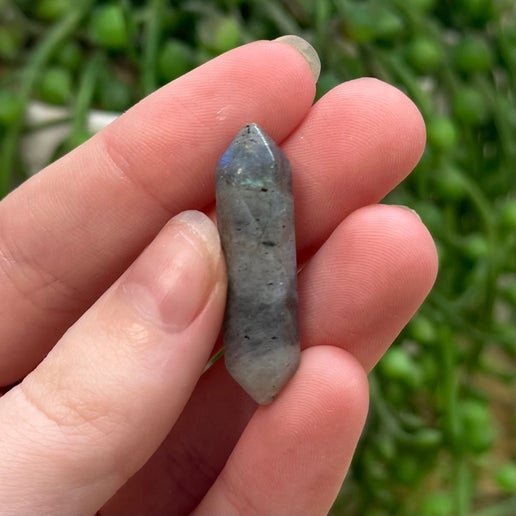 Labradorite Mini Dt