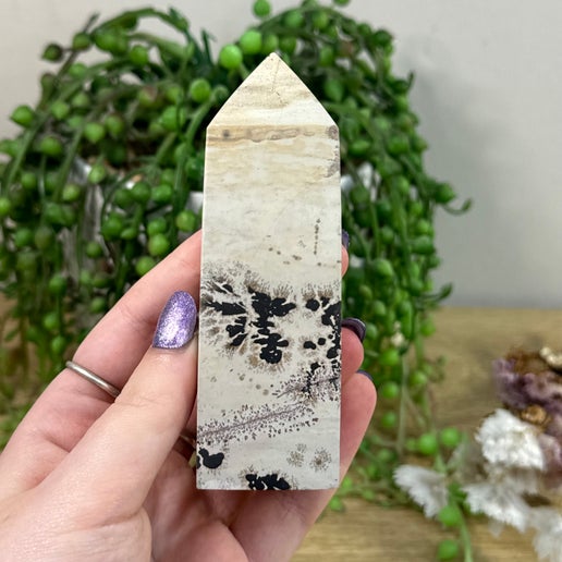 Picture Stone Jasper Point (E377)