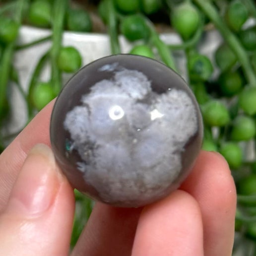 Black Flower Agate Sphere (E148)