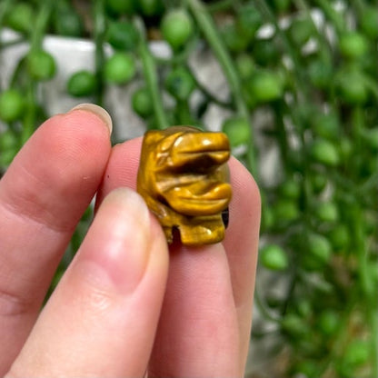 Tiger Eye Small Hippo