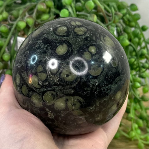 Kambaba Jasper Sphere (A896)